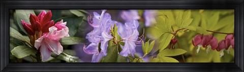 Framed Details of bright colors flowers Print