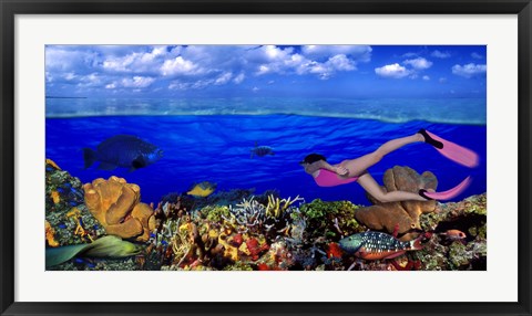 Framed Diver along reef with parrotfish, Green Moray Eel and White Spotted Filefish (Cantherhines macrocerus) underwater Print