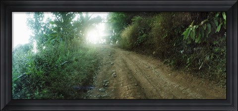 Framed Dirt road through a forest, Chiang Mai Province, Thailand Print