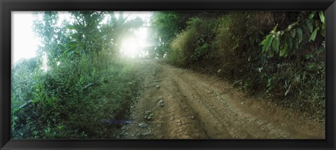 Framed Dirt road through a forest, Chiang Mai Province, Thailand Print