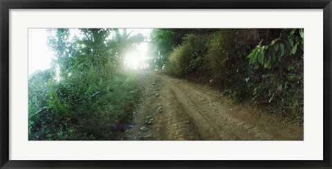 Framed Dirt road through a forest, Chiang Mai Province, Thailand Print