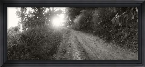 Framed Dirt road through a forest, Chiang Mai Province, Thailand (black and white) Print