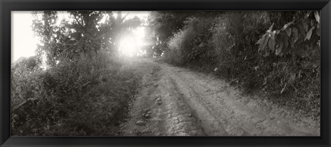 Framed Dirt road through a forest, Chiang Mai Province, Thailand (black and white) Print