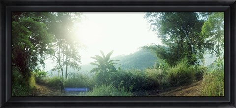 Framed Man with a slingshot in a forest, Chiang Mai, Thailand Print