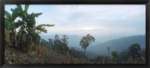 Framed Trees on a hill, Chiang Mai, Thailand Print