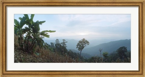 Framed Trees on a hill, Chiang Mai, Thailand Print