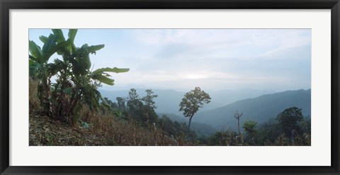 Framed Trees on a hill, Chiang Mai, Thailand Print