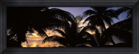 Framed Silhouette of palm trees at sunset, Aitutaki, Cook Islands Print