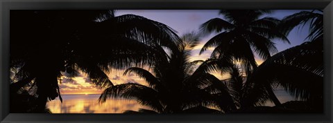 Framed Silhouette of palm trees at sunset, Aitutaki, Cook Islands Print