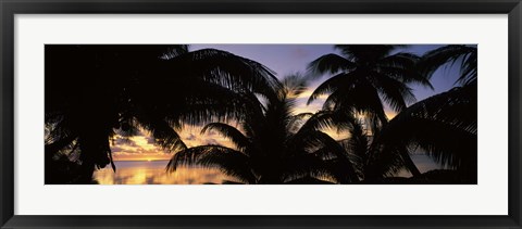 Framed Silhouette of palm trees at sunset, Aitutaki, Cook Islands Print