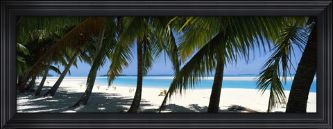 Framed Palm trees on the beach, Aitutaki, Cook Islands Print