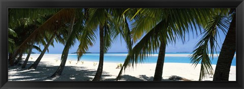 Framed Palm trees on the beach, Aitutaki, Cook Islands Print