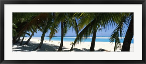 Framed Palm trees on the beach, Aitutaki, Cook Islands Print