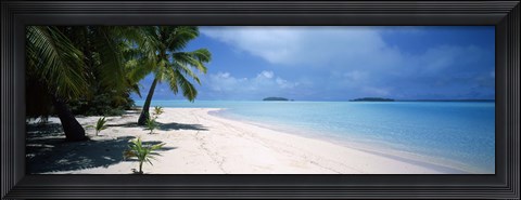 Framed Palm trees on the beach, Tapuaetai, Aitutaki, Cook Islands Print