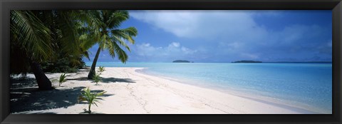 Framed Palm trees on the beach, Tapuaetai, Aitutaki, Cook Islands Print