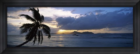 Framed Silhouette of coconut palm tree at sunset, from Anse Severe Beach, La Digue Island, Seychelles Print