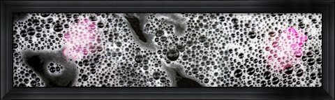 Framed Bubbles and pink flower petals Print