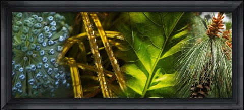 Framed Leaves with rain drops Print