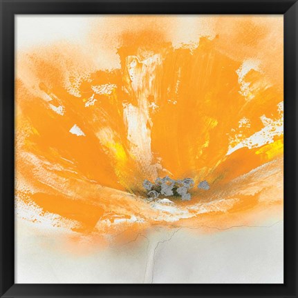 Framed Wild Orange Sherbet I Print