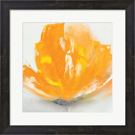 Framed Wild Orange Sherbet II Print