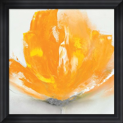 Framed Wild Orange Sherbet II Print
