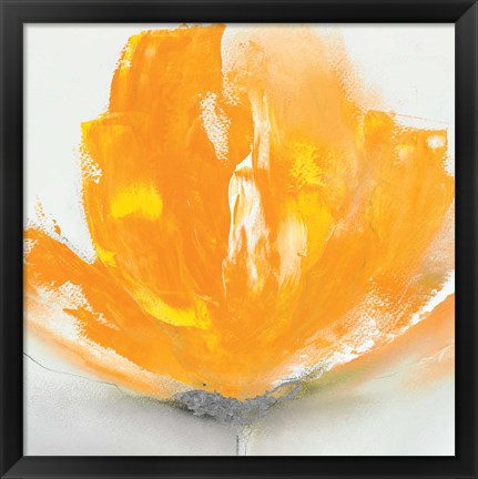 Framed Wild Orange Sherbet II Print