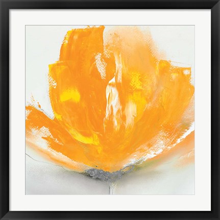 Framed Wild Orange Sherbet II Print