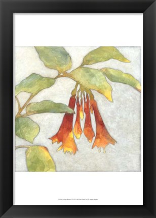 Framed Fuchsia Blooms I Print