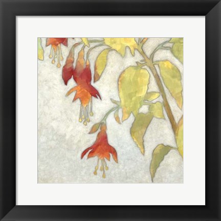 Framed Fuchsia Blooms II Print