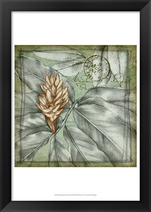 Framed Postmark Tropicals II Print