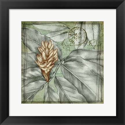 Framed Postmark Tropicals II Print