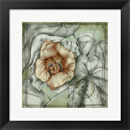 Framed Postmark Tropicals IV Print