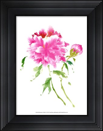 Framed Peonies in Pink I Print
