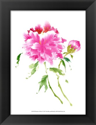 Framed Peonies in Pink I Print