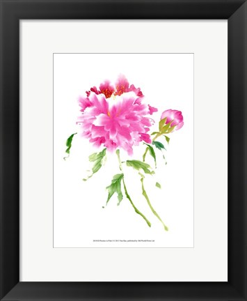 Framed Peonies in Pink I Print