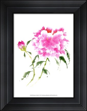 Framed Peonies in Pink II Print