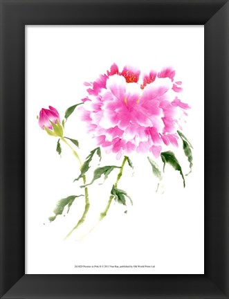 Framed Peonies in Pink II Print