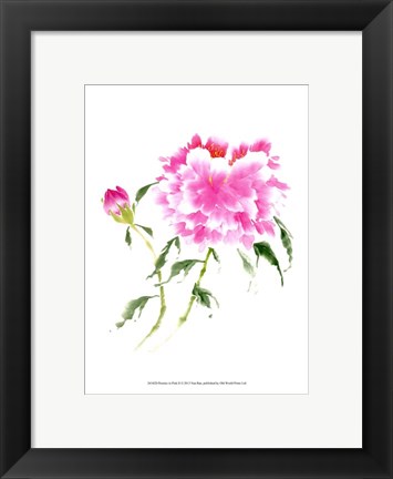 Framed Peonies in Pink II Print