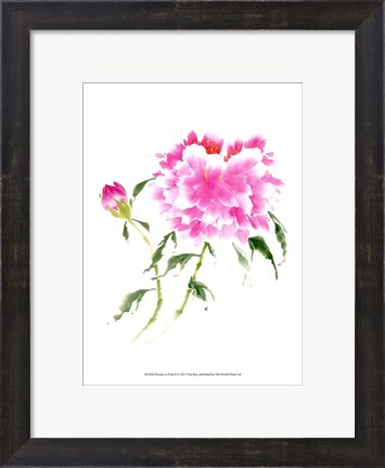 Framed Peonies in Pink II Print
