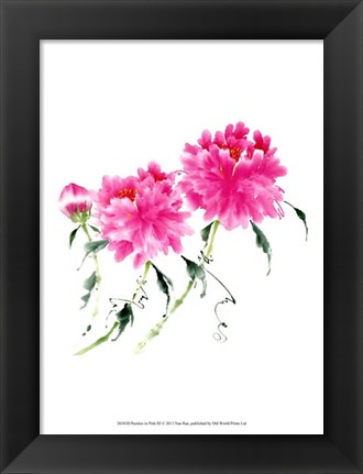 Framed Peonies in Pink III Print