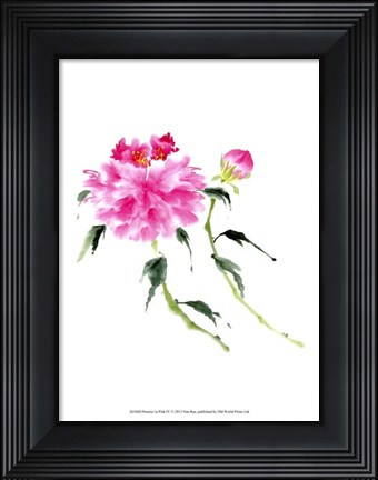 Framed Peonies in Pink IV Print