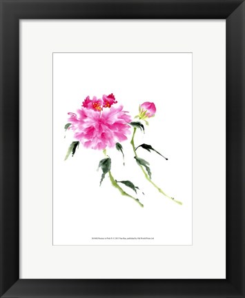 Framed Peonies in Pink IV Print