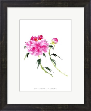Framed Peonies in Pink IV Print