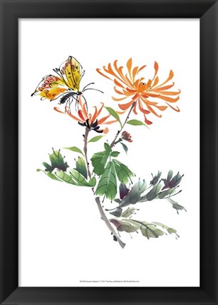 Framed Summer Rapture I Print