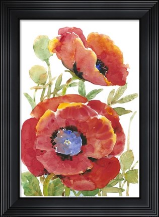 Framed Poppy Floral II Print