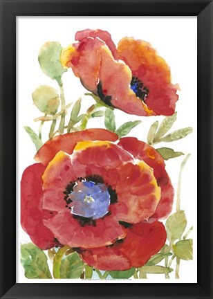 Framed Poppy Floral II Print