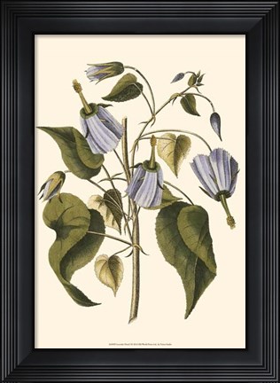 Framed Lavender Floral I Print