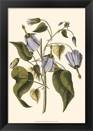 Framed Lavender Floral I Print