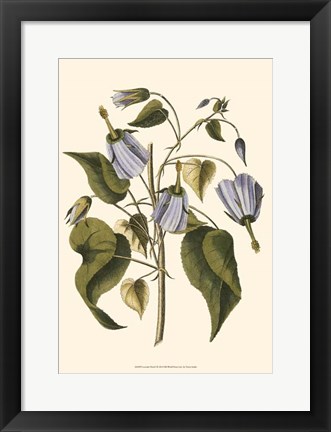 Framed Lavender Floral I Print
