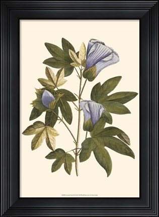 Framed Lavender Floral II Print